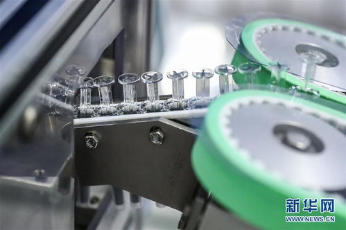 北京全面有序開展預防接種工作 技術服務的堅實支撐