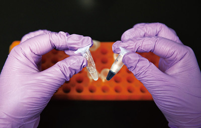 以創(chuàng)新為核，以實(shí)干為基 自然科學(xué)研發(fā)譜寫中國式現(xiàn)代化新篇章