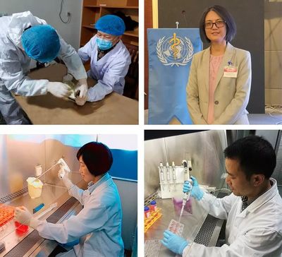 硬核成果！南昌市疾控中心陳海嬰團(tuán)隊(duì)獲江西省自然科學(xué)獎(jiǎng)一等獎(jiǎng)