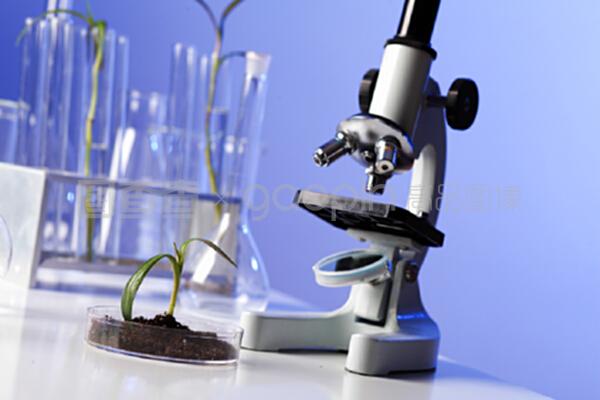 生物學實驗室中的綠色植物 推動自然科學研究與試驗發展的生態引擎