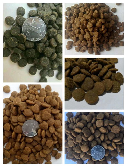 山東寵物用品產業圖譜 從寵物用品廠到異合日用百貨網的數據洞察